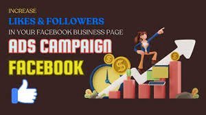 Increase your Facebook business account  likes ,followers and  ads in just Rs 600 